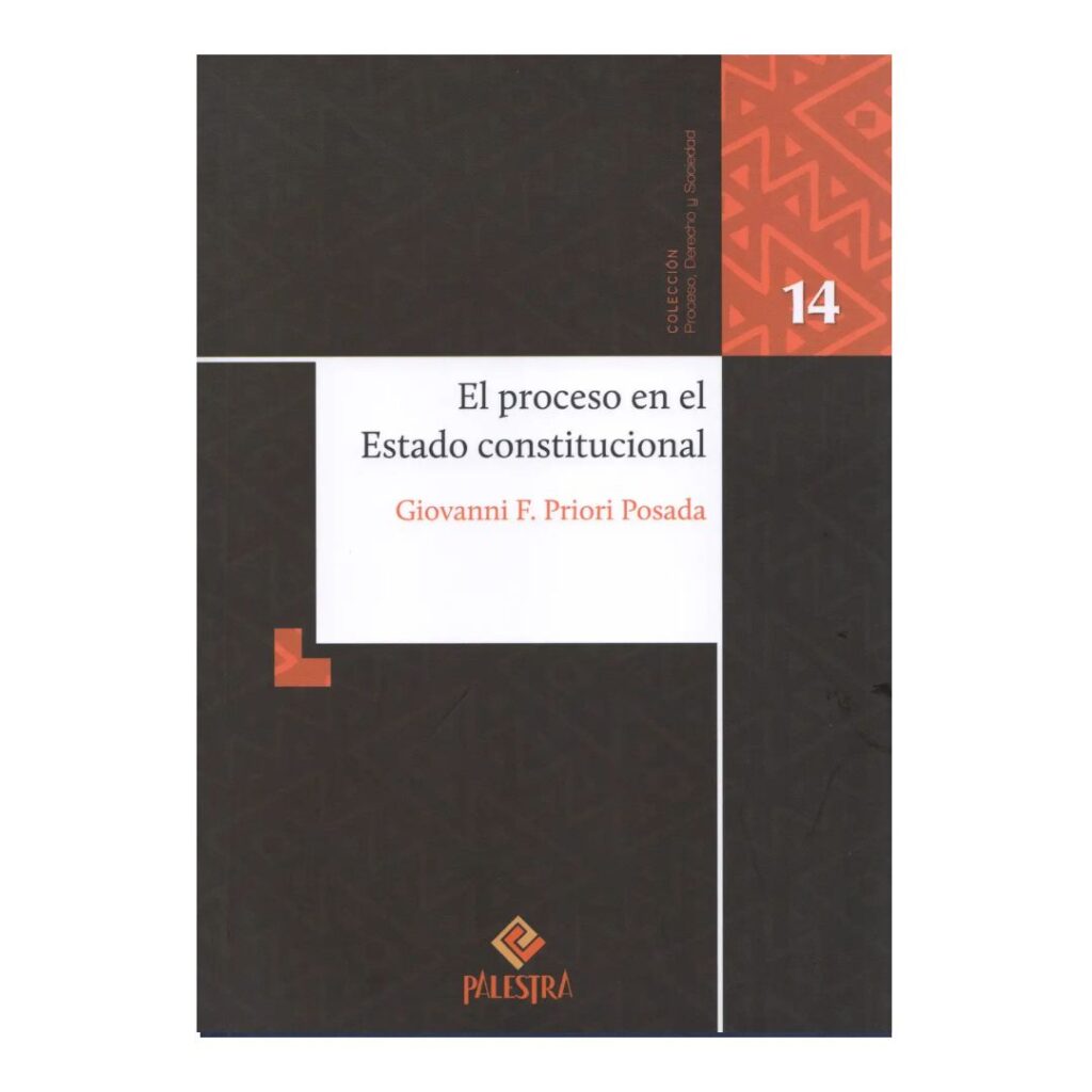 El proceso en el estado constitucional