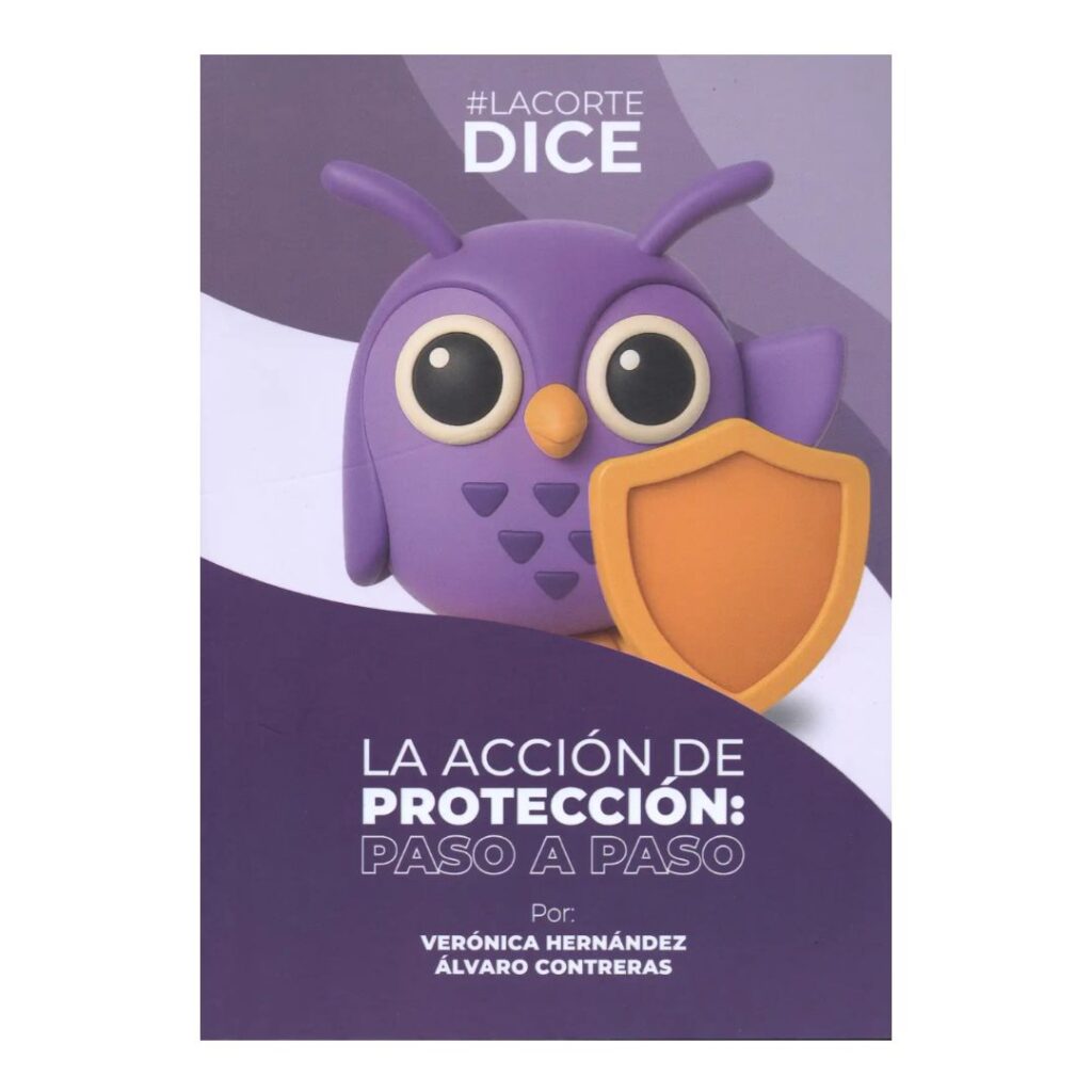La acción de protección paso a paso