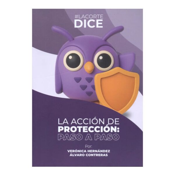 La acción de protección paso a paso